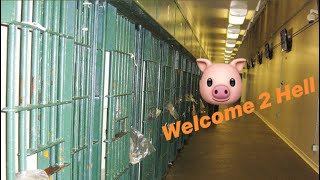 MiLk74 Hit The 2000 floor at Mens Central Jail, Got Approached By The Aryan Brothers!