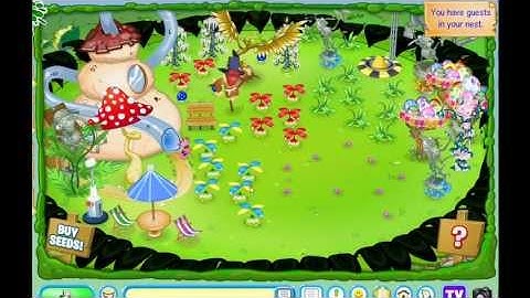 binweevils-how to walk upside down in your nest