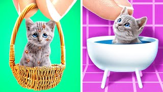 Take Care of the Tiniest Cat 😻 Best Diy Ideas for Pet Owners screenshot 1