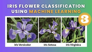 Iris Flower Classification - Part 3 | Data Science | Machine Learning | Python | 2023