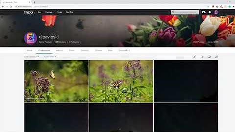 MPC 240: Flickr/Blackboard Walkthrough