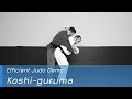 Koshi Guruma Demo