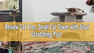 Review Cat Tree, Small Cat Tower with Sisal Scratching Post and Hammock Light Gray