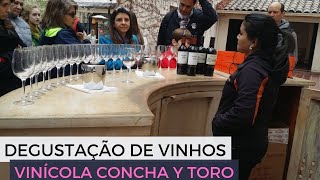 Degustacao de vinho no Chile Vinicola Concha Y Toro