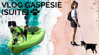 Mon chiot apprend à nager [VLOG 2: Gaspésie] by Emilie & Kanelle 303 views 2 years ago 5 minutes, 21 seconds