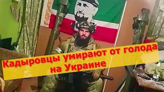 Кадыровцы умирают от голода на Украине.