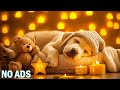 Schlafmusik Für Hunde 24 Stunden Am Tag Hält Ihren Hund Jederzeit Ruhig Und Ausgeruht Schlafmusik Für Hunde 24 Stunden Am Tag Hält Ihren Hund Jederzeit Ruhig Und Ausgeruht