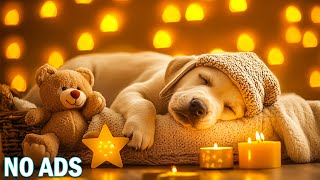 Sleep Music for Dogs – 24 Hours a Day | Keeps Your Dog Calm and Rested at All Times