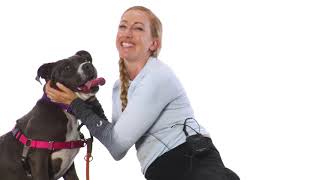 Adopt Babs at NKLA