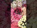 Kya Shan Hai Islamic Viral Naat AF#islamicbaby #trending #shortsviral #baby #islamicbaby #hashtag