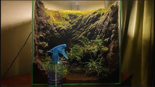 Making a stone wall feel like a paludarium without a stone. by 회색벌레 GreyWorm 174,116 views 2 years ago 6 minutes, 24 seconds