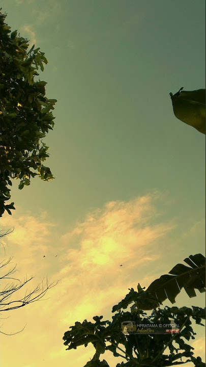 Story Whatsapp Senja - Payung Teduh