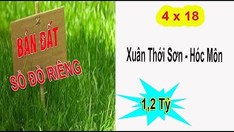 73M2 Đất Sổ Đỏ Riêng Xuân Thới Sơn Hóc Môn 1,2 Tỷ