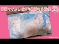 ❄コユキちゃんマウスパッドに直筆サインしながらまったり雑談する配信(✿´ ꒳ ` )♡