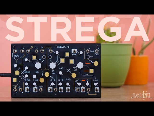 Make Noise STREGA | Overview & Exploration - YouTube