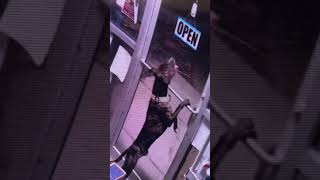 Clever Dog Opens Two Doors in Impressive Escape From Animal Shelter