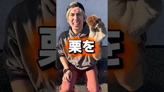 2030年まで元気モリモリになる大きな栗のうた