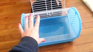 Traveling With Your Hamster by Puff Pets 647,020 views 11 years ago 10 minutes, 4 seconds
