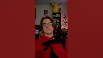 My Cat & I tell you our Spotify Wrapped results #spotifywrapped #twentyonepilots #spotify