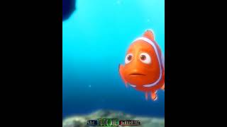 Finding Nemo 😍|| Sad Fish Fact Hindi 😢 || Clownfish #shorts #shortfeed #findingnemo #amezingfacts