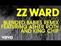 ZZ Ward - 365 Days (Audio Only) ft. Asher Roth, King Chip