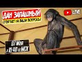 Дан Запашный и Шимпанзе Боня | Прямой эфир - Россия г. Оренбург | Новости недели 07.05.2022