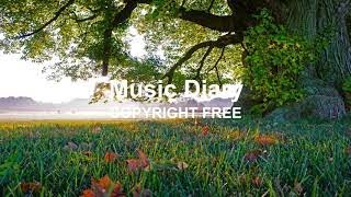 ROA - Life (MUSIC DIARY - Copyright Free)