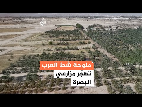 ملوحة شط العرب تهج ر مزارعي البصرة ما القصة 