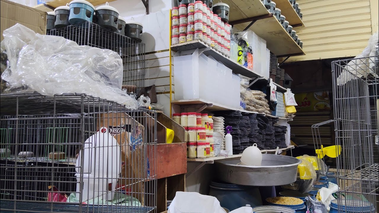 عرض الجمعه🫣 على كل ملتزمات🌶️ الحمام والعيون الخشب والسلاكات الحديد داخل معرض 