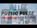 Public Pulse | Friends of the Library