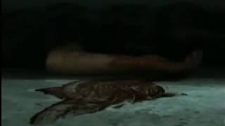 Maxwell (2007) Movie Trailer
