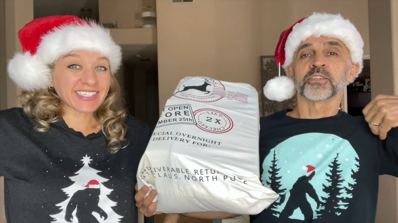 We got a Fun Mystery Christmas Bag full of surprises! What did we