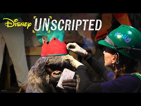 Decking The Docks Before Dawn: Jungle To Jingle Cruise Holiday Makeover | Disney Unscripted