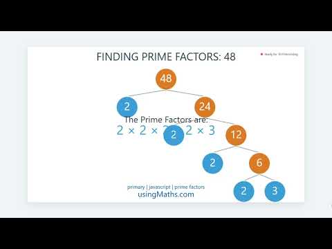 📌 Learn Prime Factors with Code (Beginner Friendly!)