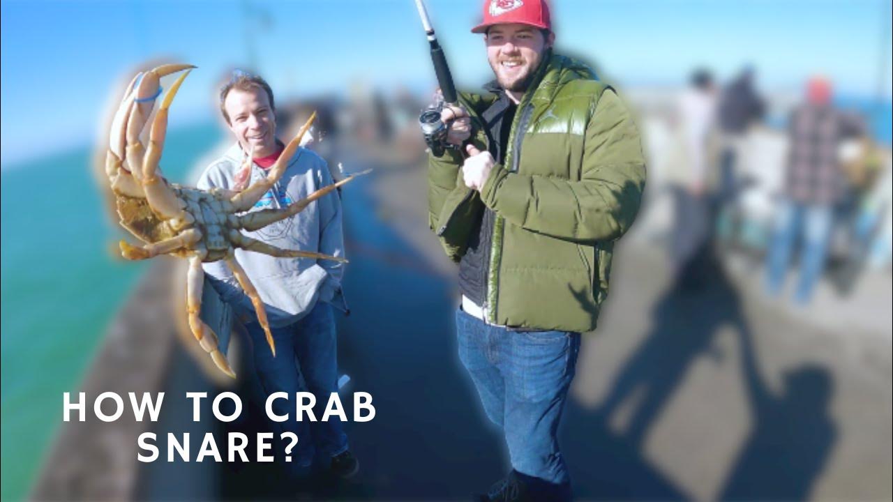 How to Crab Snare San Francisco Bay Area Dungeness Crabs YouTube
