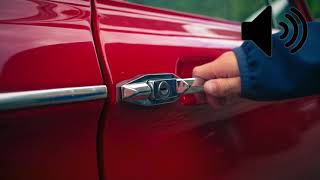 Car Door Opens and Shut -  Exterior sound effect (Royalty Free)
