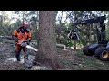 Chainsaw husqvarna 560xp vs harvester ponse ergo 8x8 good work in the forest