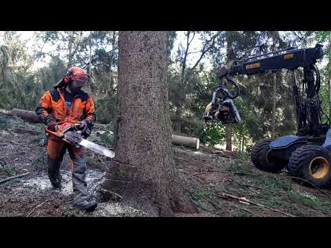 Chainsaw Husqvarna 560XP
