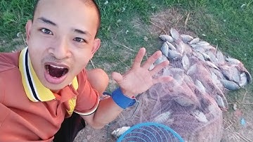 Quăng chài bắt ĐÀN RÔ PHI KHỦNG nặng 10 KÝ