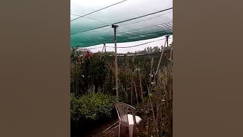 مقطع من سورة مريم = الشيخ محمد سالم الزهراني =