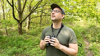 Listening to Birdsong and Improving Our Mental Health by Paul Miguel Photography 1,046 views 19 hours ago 9 minutes, 46 seconds