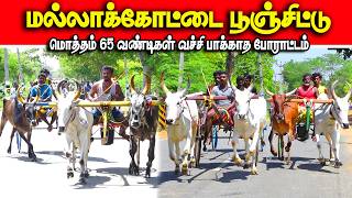 மல்லாக்கோட்டை பூஞ்சிட்டு பந்தயம் 06.07.2026