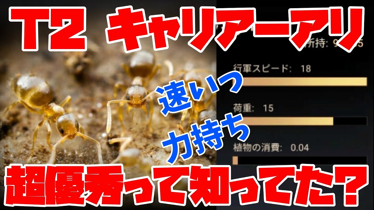 T1, T2 Carrier ant is Genius. Speedy and High Load The Ants