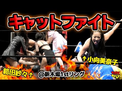 【キャットファイト】小向美奈子も大暴走!お仕置きポロリ、なんでもありのプロレスルールキャットファイト現場に潜入!【CPE】