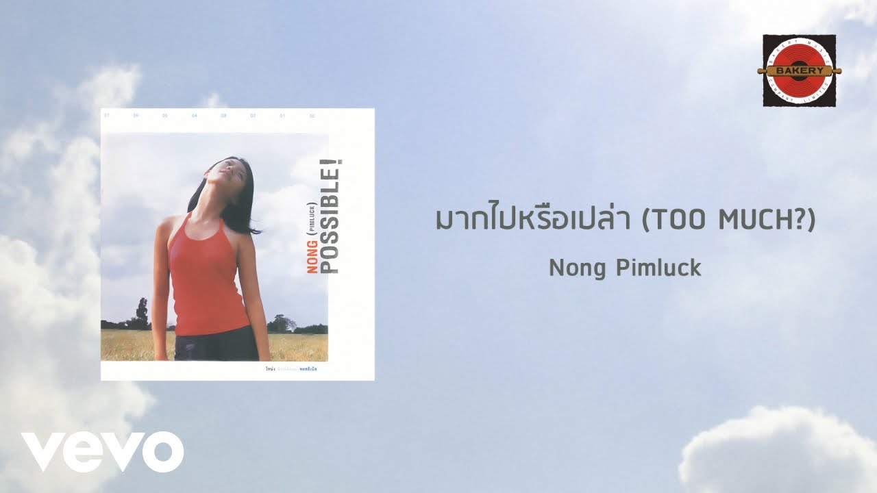 ปกเพลง มากไปหรือเปล่า (Too Much?) — NONG PIMLAK