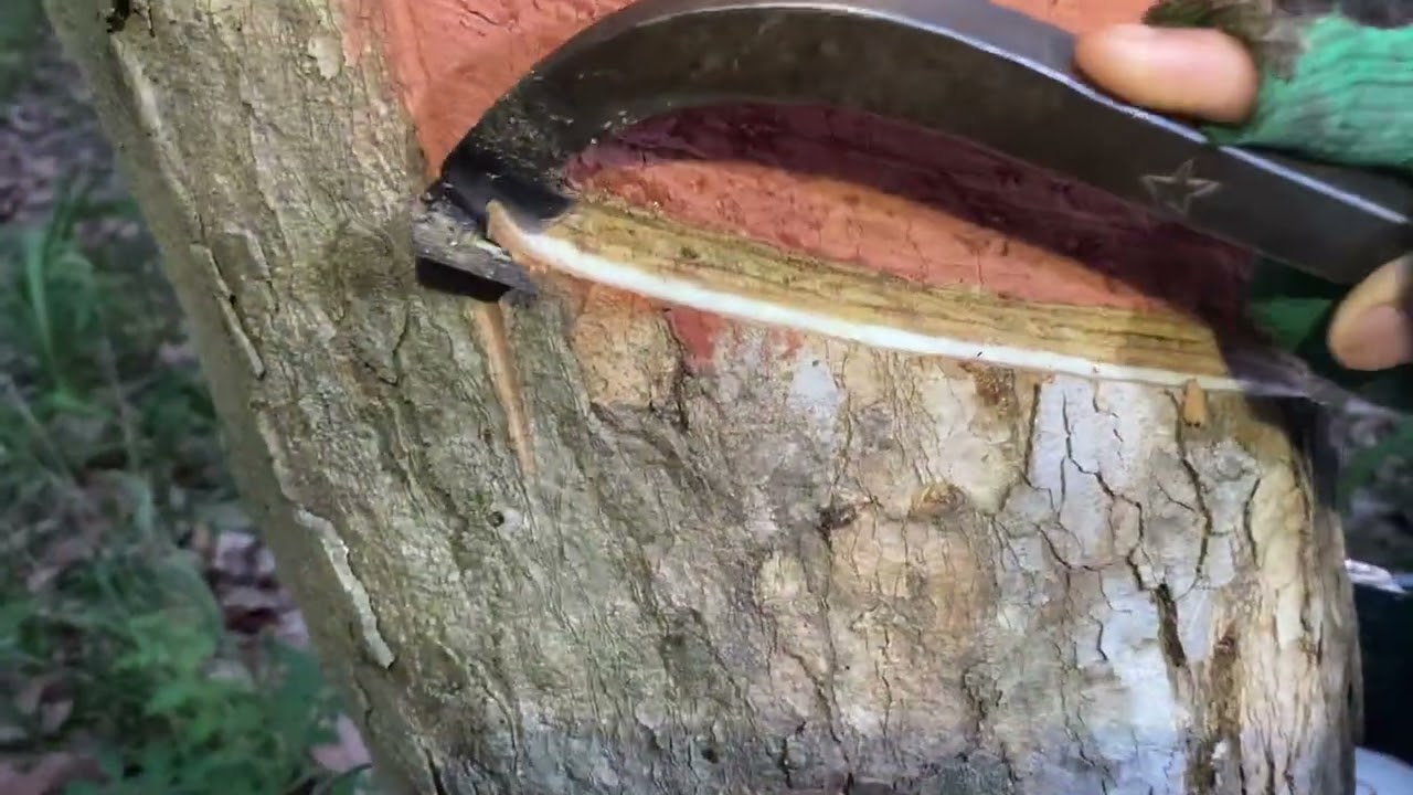 #ရာဘာအဆီးမြောင်းလျှောလျှောခြစ်နည်း