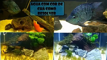 Como tirar a cor de chá do aquário?