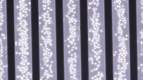 Gelatin methacrylate as a promising hydrogel for 3D microscale organization and proliferation...