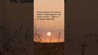 Афоризмы о жизни, одиночестве и свободе | Короткие философские размышления | Alex Lindenberg