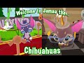 What's Coming to Animal Jam? | September Update